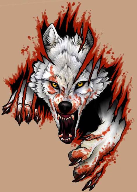 arctic_wolf_tattoo_by_novawuff.jpg